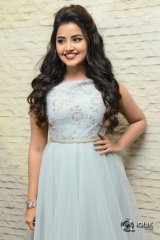 Anupama Parameswaran At Vunnadhi Okate Zindagi Movie Pre Release Function